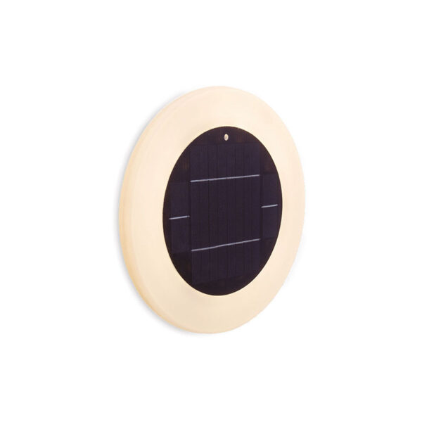 Papaya 30 solar