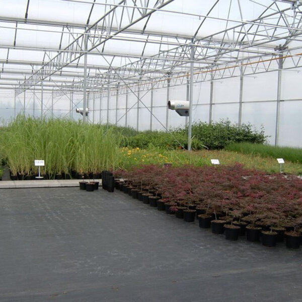 Malla anithierba 100 gr/m2 VERDE 2X10 m - Imagen 3