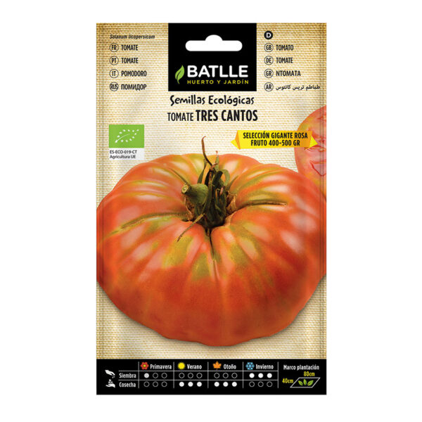 Semillas Tomate Tres cantos Gigante Rosa - ECO