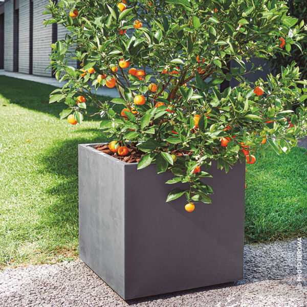Cubo Millenium 39 cm Antracita - Imagen 3