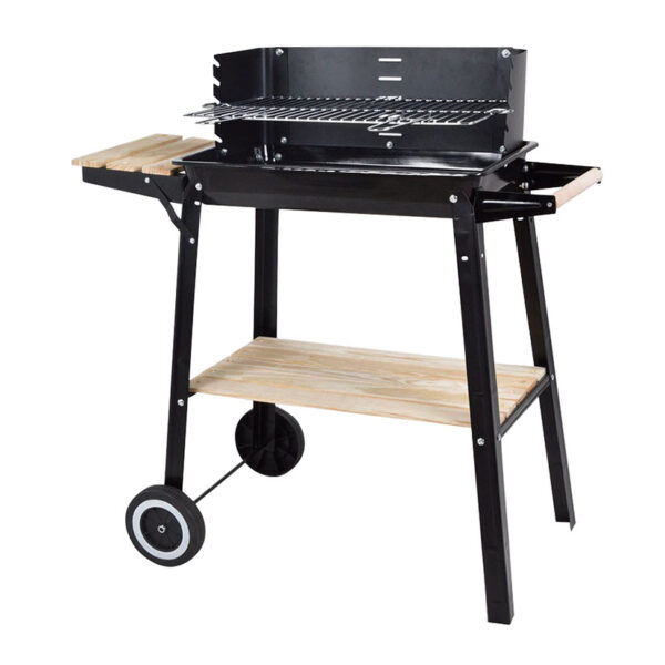 Barbacoa carbón supergrill 49