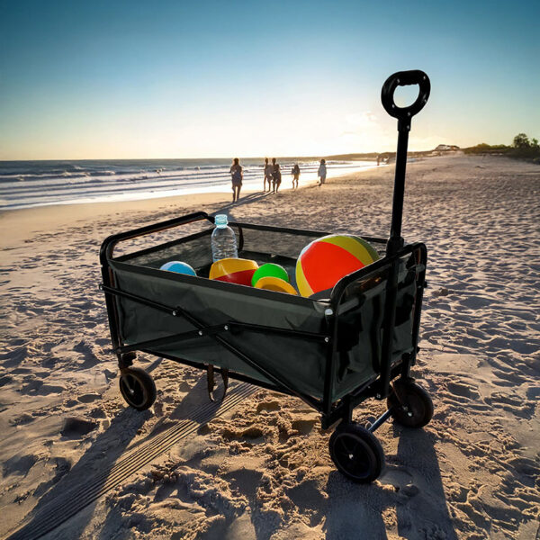 Carro plegable para playa/camping. Carga máxima 65 kg.