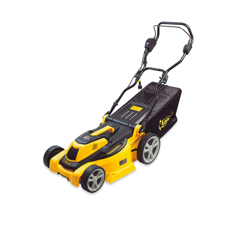 5599C31