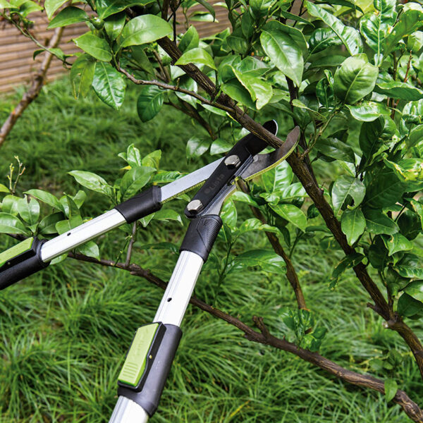 Tijera podadora 70cm dos manos telescopica (70cm hasta 94cm) Bypass - Imagen 4