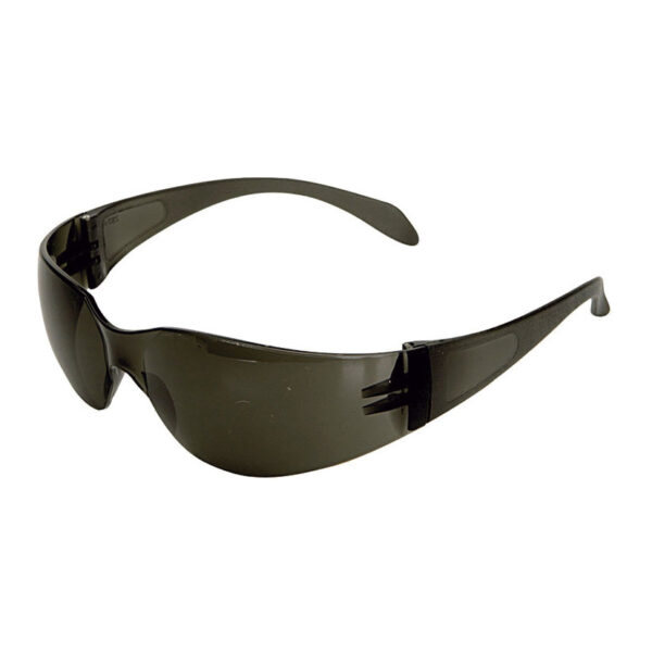 Gafa panoramica 590-g oscura