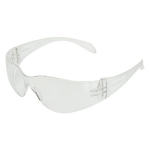 Gafa panoramica 590-i transparente