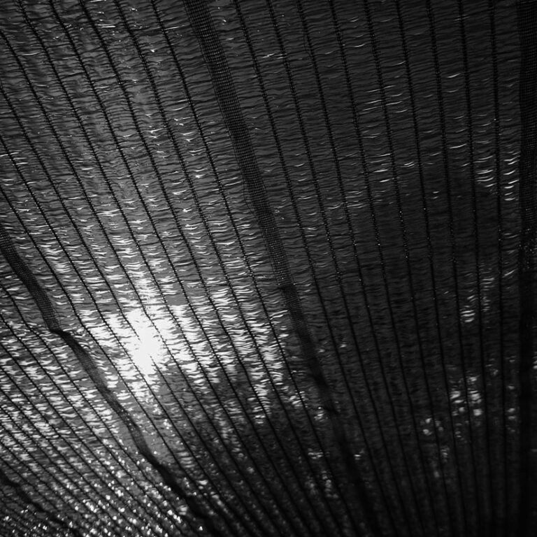 Sun Through a blue Shading net, plastic awning used as a sunshad
