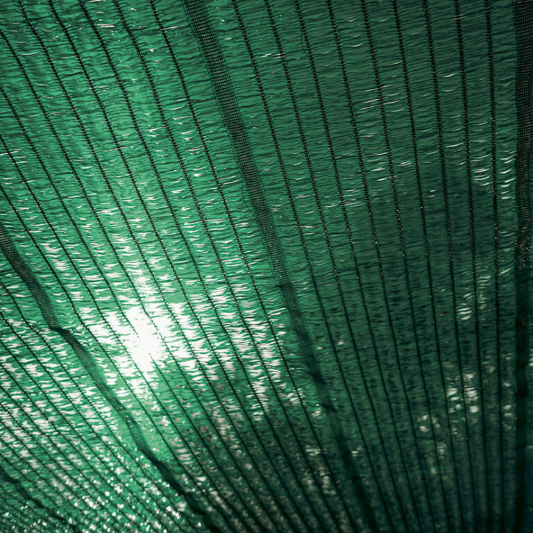 Sun Through a blue Shading net, plastic awning used as a sunshad