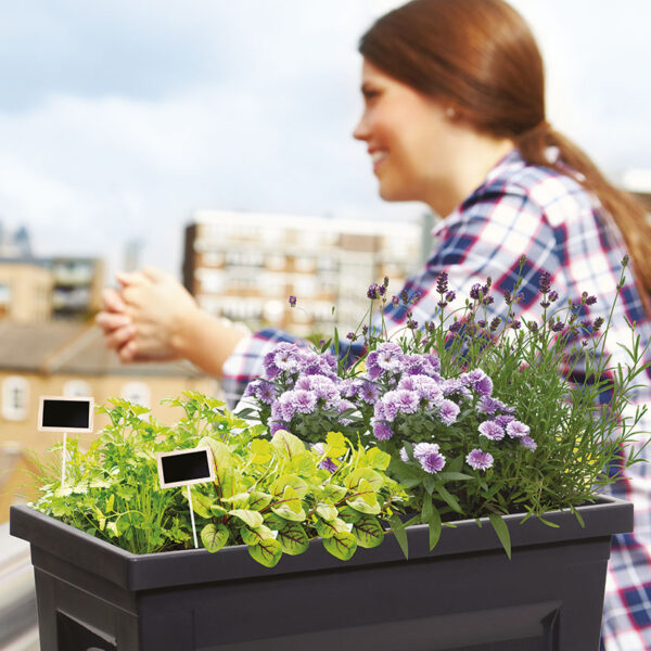 Huerto urbano vegetable city antracita 76x38xh. 68 cm. 57 l - Imagen 3