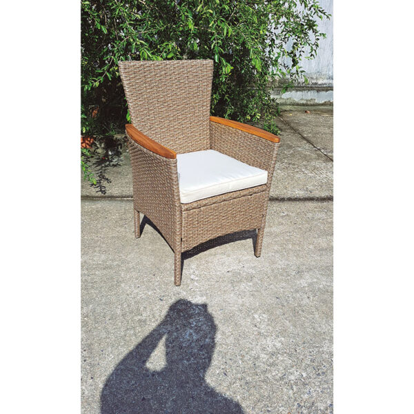 Sillón Tahití ratán/acero/madera - Imagen 2