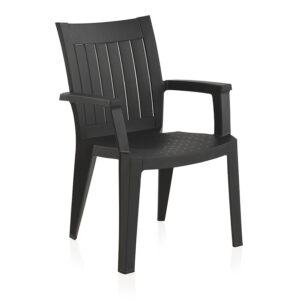 Silla pacific antracia