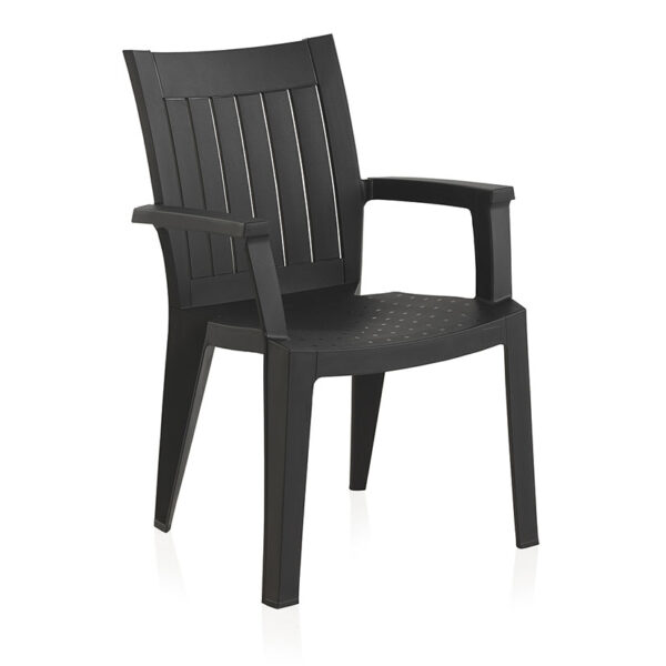 Silla pacific antracia
