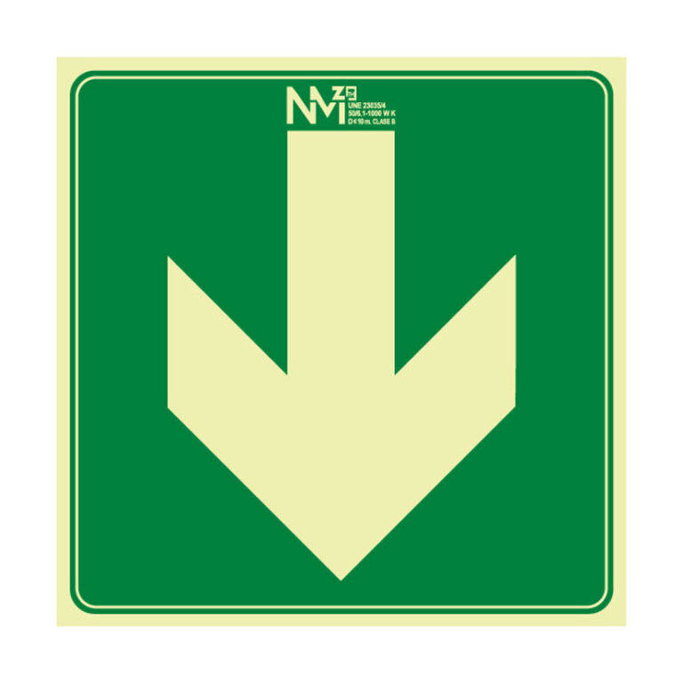 979NCAS17